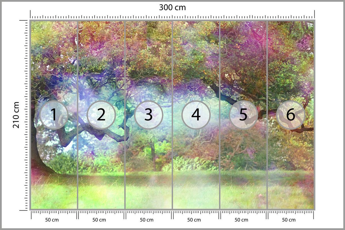 FOTOTAPETE für Kinderzimmer Magischer Bunter Wald Bäume Sträucher Blätter Pflanzen 300x210 - Gelb/Rot, Papier (300/210cm) - Muralo