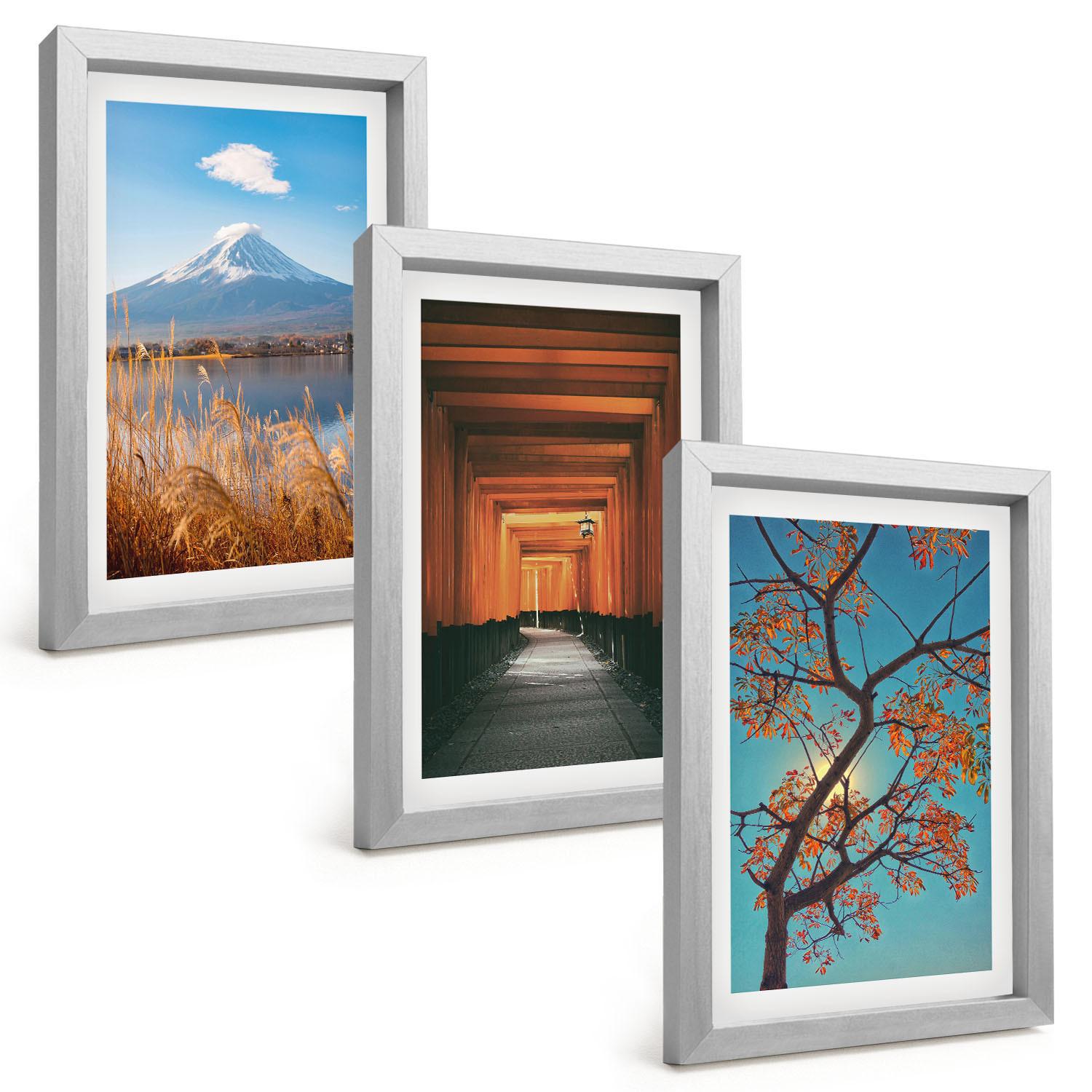 BILDER SET 3er Set - 20x30 cm Silberner Rahmen - Japanische Naturlandschaften - Silberfarben, Kunststoff (20/30cm) - TULUP