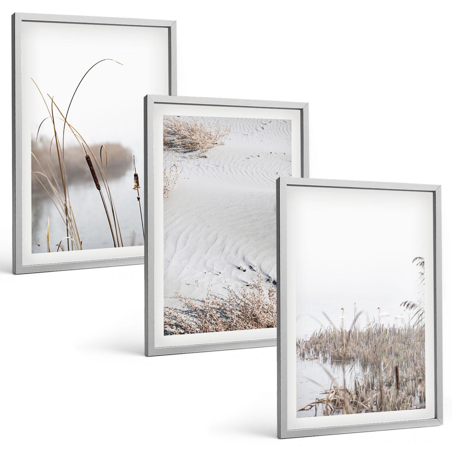 BILDER SET 3er Set - 40x60 cm Silberner Rahmen - Wasserpflanzen im Sommer - Silberfarben, Kunststoff (40/60cm) - TULUP