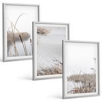 BILDER SET 3er Set - 40x60 cm Silberner Rahmen - Wasserpflanzen im Sommer - Silberfarben, Kunststoff (40/60cm) - TULUP