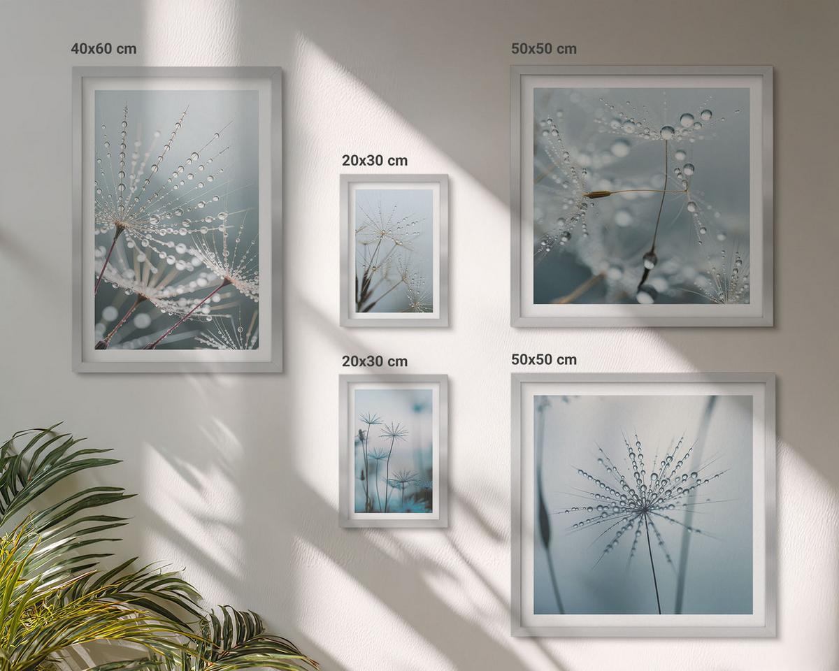 BILDER SET 5er Set - 50x50 cm & 20x30 cm & 40x60 cm Silberner Rahmen - Tautropfen auf Löwenzahn - Silberfarben, Kunststoff (40/60cm) - TULUP