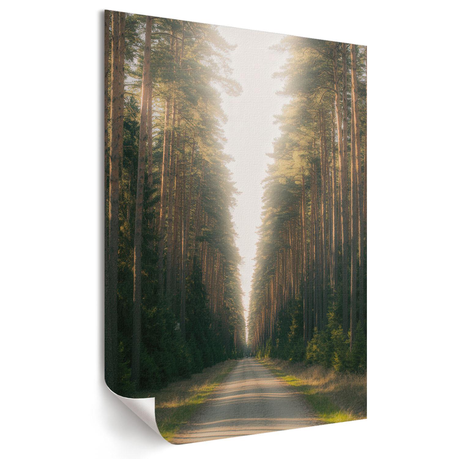 POSTER - 29x42 cm - Nevara - Waldweg - Grün, Textil (29/42/0.1cm) - TULUP
