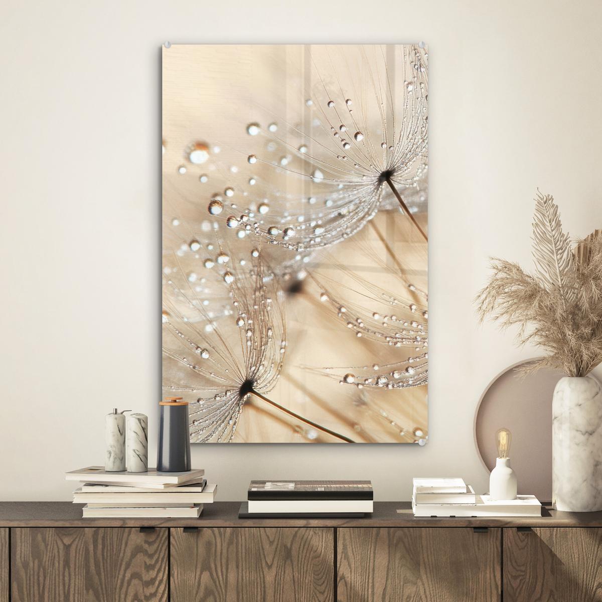 ACRYLGLASBILD Löwenzahn - Abstrakt - Natur - Beige Wanddeko Wohnzimmer 40x60 cm - Braun, Glas (40/60cm) - MuchoWow