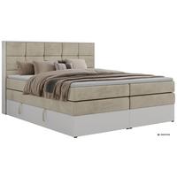 BOXSPRINGBETT ALVIT KING 140/200 - Beige Velvet - Topper T25 - H3 - Beige/Schwarz, Kunststoff/Textil (140/200cm) - MKS