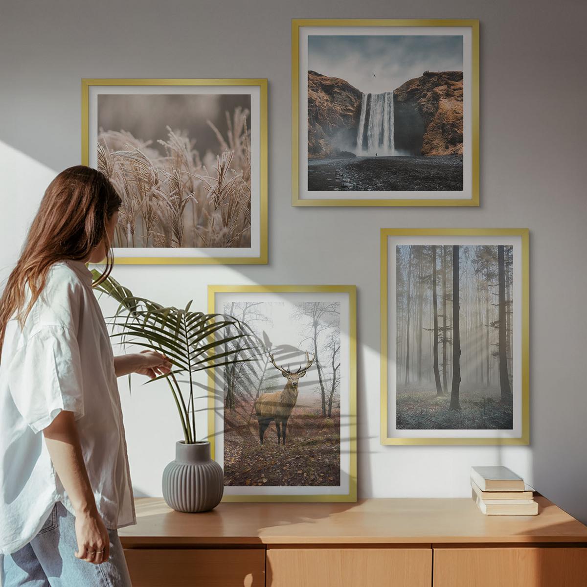 BILDER SET 4er Set - 50x50 cm & 40x60 cm Goldrahmen - Waldlandschaften der Wildnis - Goldfarben, Kunststoff (50/50cm) - TULUP