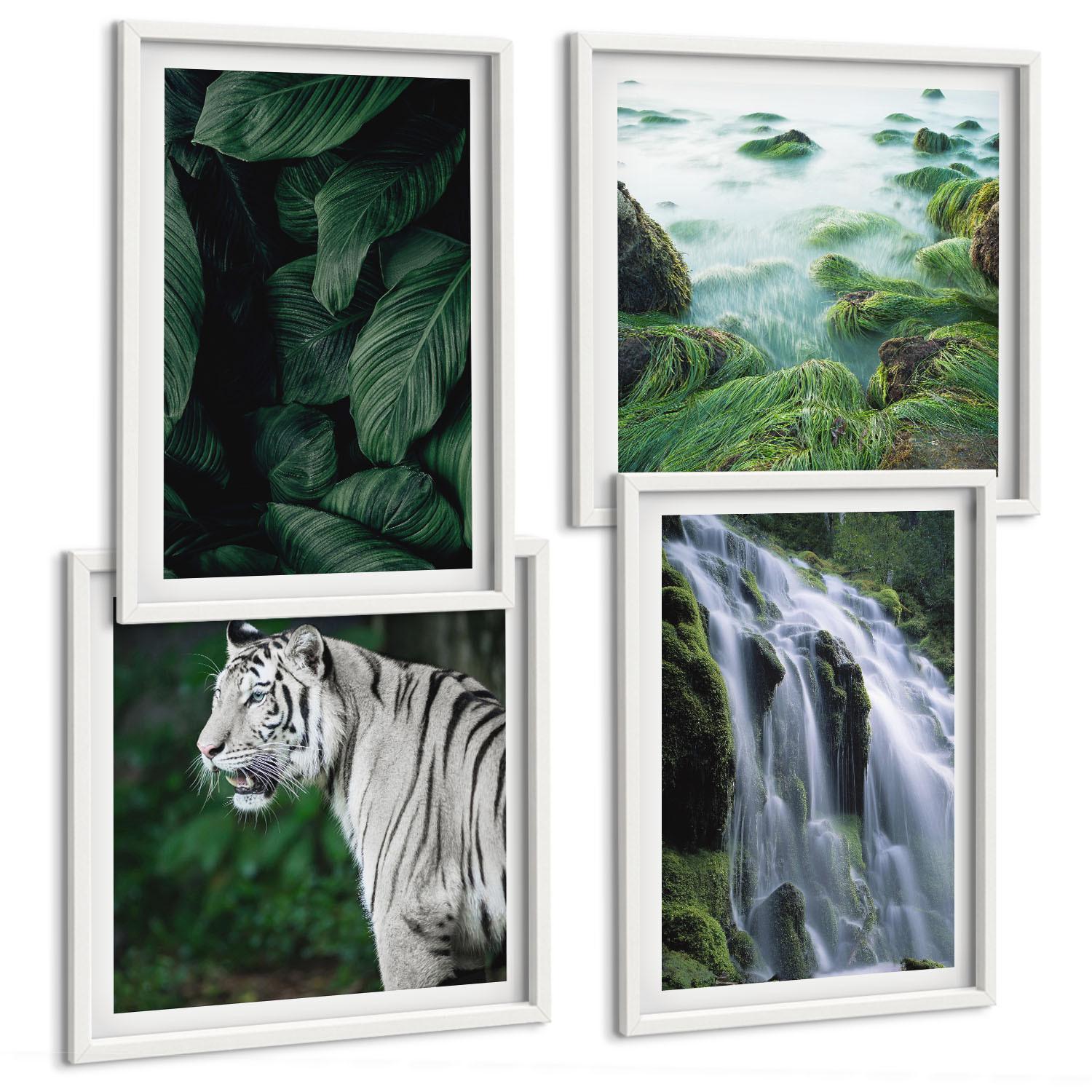 BILDER SET 4er Set - 50x50 cm & 40x60 cm Weißer Rahmen - Blätter des Weißen Tigerwasserfalls - Weiß, Kunststoff (50/50cm) - TULUP