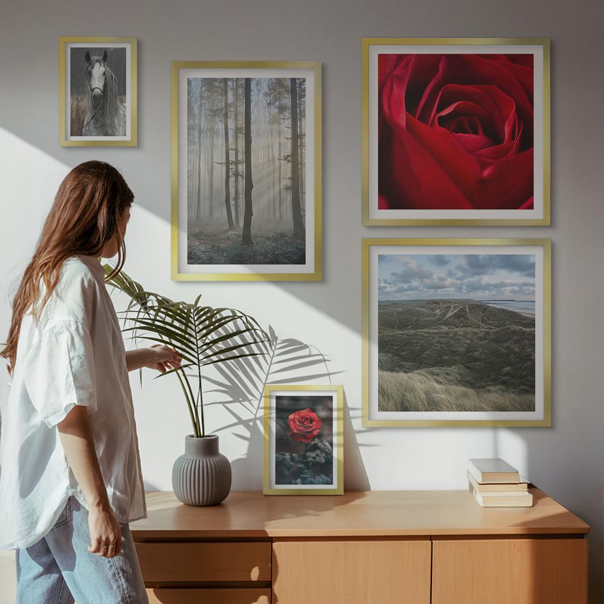 BILDER SET 5er Set - 50x50 cm & 20x30 cm & 40x60 cm Goldrahmen - Rote Rosen auf pferdegrauem Hintergrund - Goldfarben, Kunststoff (40/60cm) - TULUP