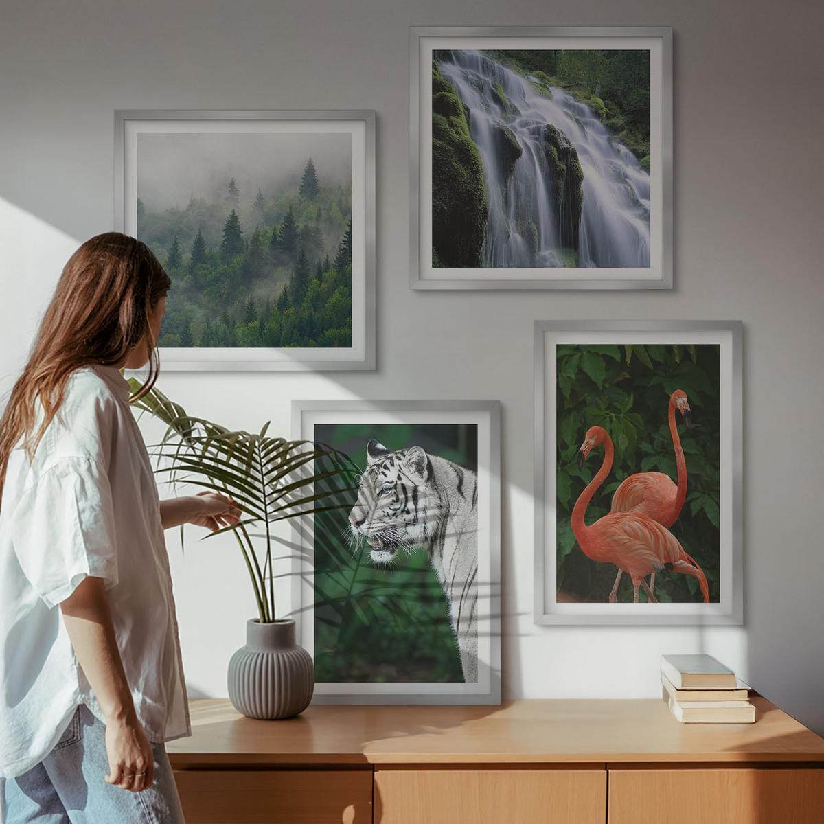 BILDER SET 4er Set - 50x50 cm & 40x60 cm Silberner Rahmen - Tiger Wasserfall Flamingos Natur - Silberfarben, Kunststoff (50/50cm) - TULUP