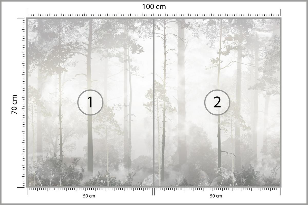 FOTOTAPETE für Schlafzimmer Nebliger Wald Bäume Sträucher Mystik 100x70 - Beige/Weiß, Papier (100/70cm) - Muralo