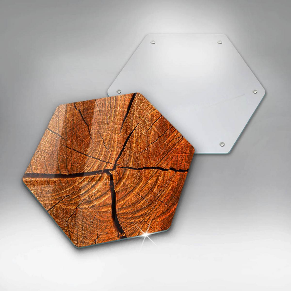 GLASPLATTE 40 cm Baumstamm Struktur - Braun, Glas (40/40cm) - Wallfluent