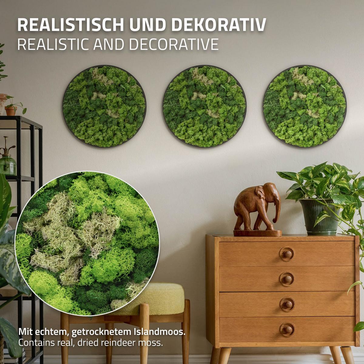 MOOSBILD Rund Ø 40 cm Mooswand Indoor mit Echtem Islandmoos und Holzrahmen Grün Pflegefrei - Salbeigrün, Naturmaterialien (40/40/3cm) - ECD-Germany