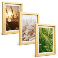 BILDER SET 3er Set - 20x30 cm Goldrahmen - Gräser farbenfrohe Natur - Goldfarben, Kunststoff (20/30cm) - TULUP