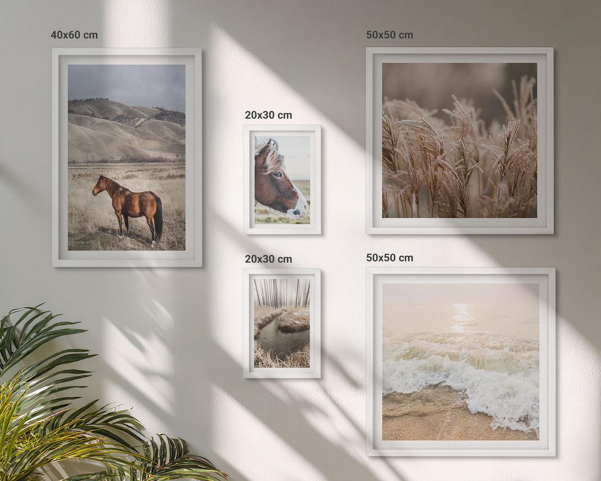 BILDER SET 5er Set - 50x50 cm & 20x30 cm & 40x60 cm Weißer Rahmen - Pferdelandschaft Seegraswald - Weiß, Kunststoff (40/60cm) - TULUP