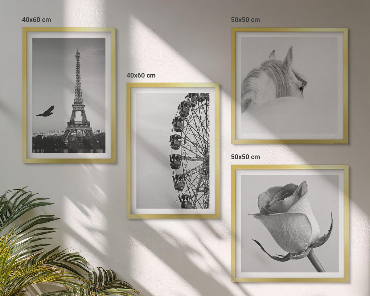 BILDER SET 4er Set - 50x50 cm & 40x60 cm Goldrahmen - Rose Eiffelturm Pferd Riesenrad S/W - Goldfarben, Kunststoff (50/50cm) - TULUP