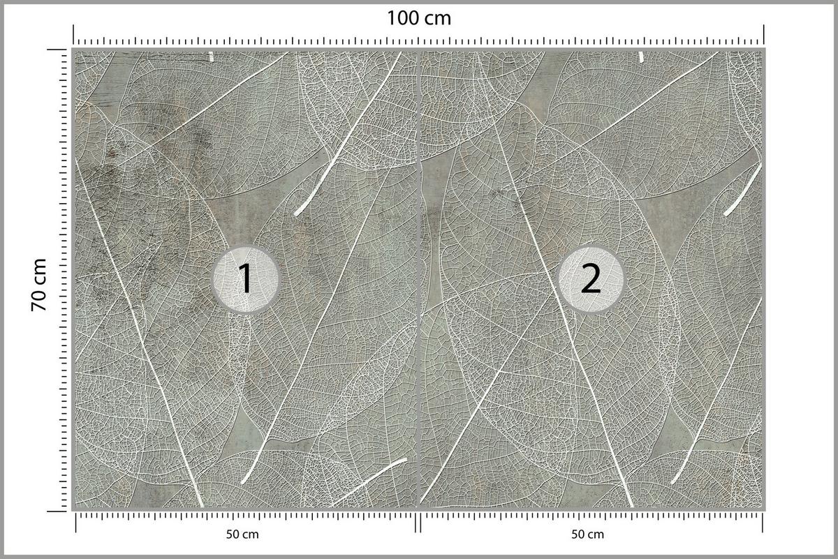 FOTOTAPETE für Schlafzimmer Weiße Blätter auf Beton 100x70 - Weiß/Grau, Papier (100/70cm) - Muralo