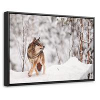 LEINWAND Bilder mit Rahmen - Wolf - Winter - Schnee - Natur - Tiere - 60x40 - Haselnussfarben, Textil (60/40cm) - MuchoWow