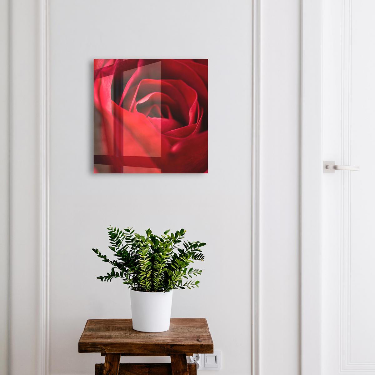 SCHLÜSSELBOX Weiß 30x30 cm – Türöffnung nach rechts - Rose (Nahaufnahme) - Rot, Metall (30/30/5cm) - TULUP