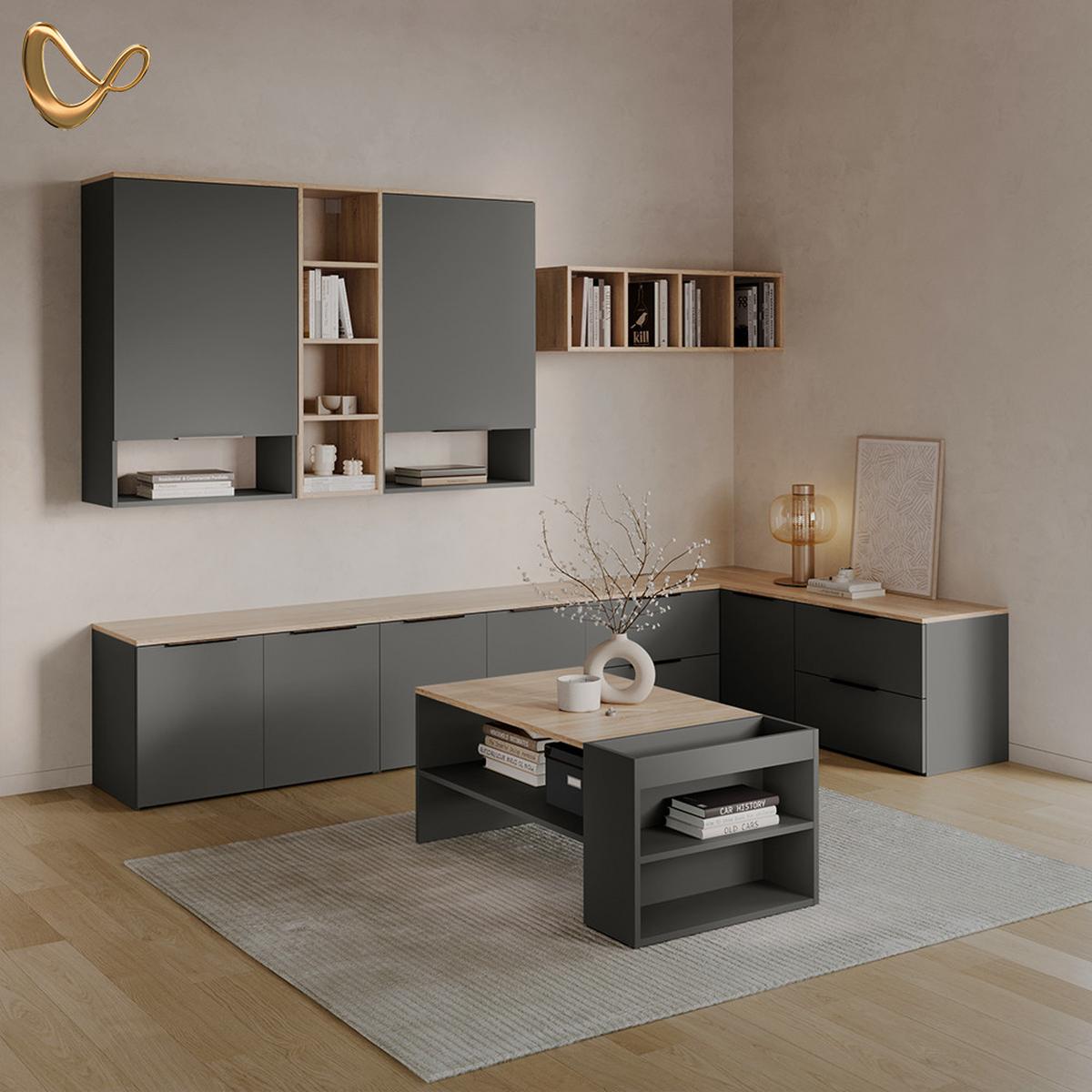 HÄNGESCHRANK Piave Anthrazit 60 x 100 cm mit Tür - Anthrazit, Holzwerkstoff (60/100/30cm) - Livinity®