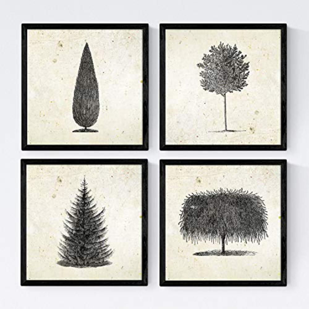 POSTER Set mit 4 Blättern der Bäume in Alten Papierhintergrund 20x20cm Schwarzer Rahmen - Schwarz, Papier (20/3cm) - Nacnic