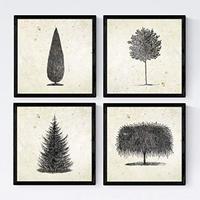 POSTER Set mit 4 Blättern der Bäume in Alten Papierhintergrund 20x20cm Schwarzer Rahmen - Schwarz, Papier (20/3cm) - Nacnic