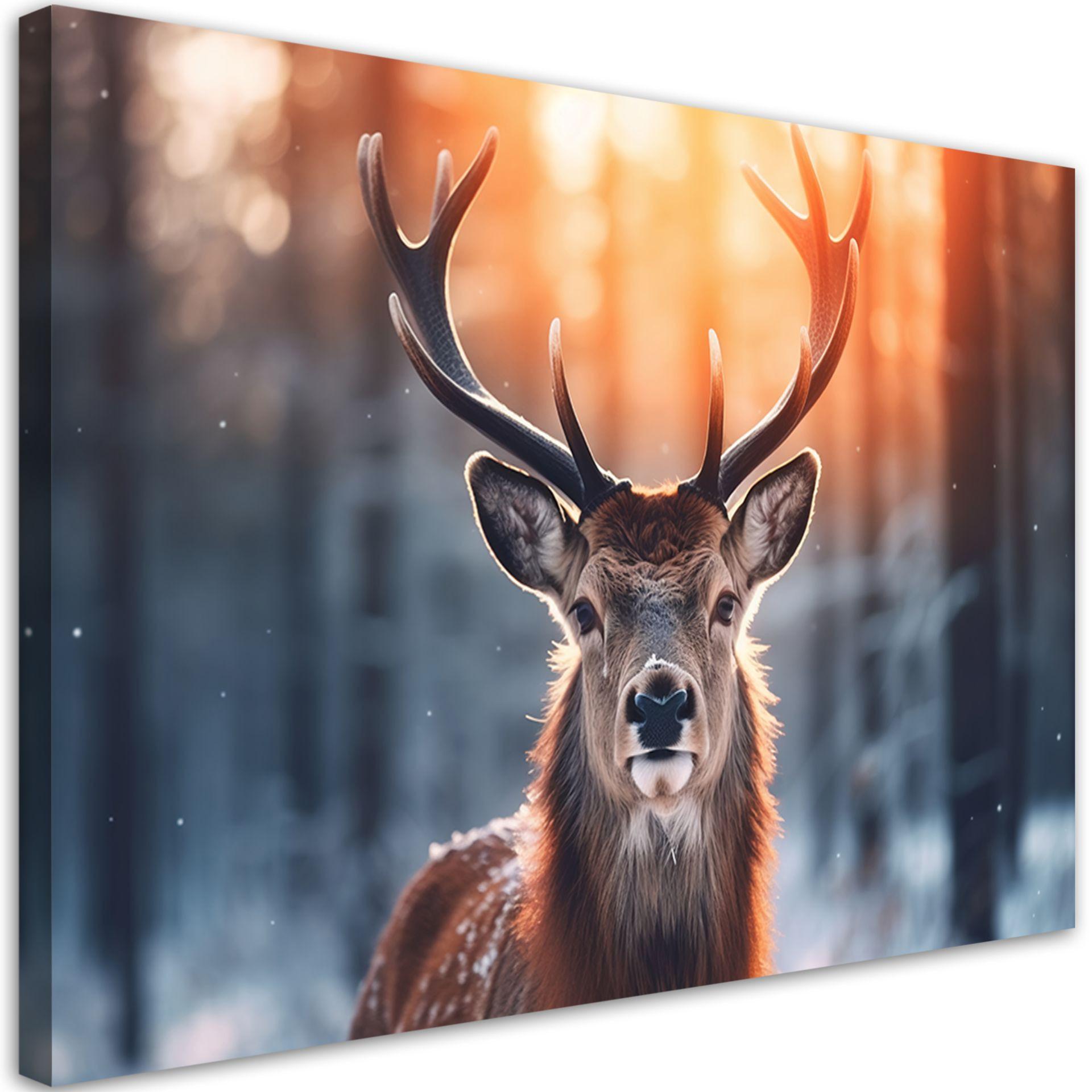 KUNSTDRUCK Braun 60/40 cm - Braun, Textil (60/40cm) - KUNSTLOFT