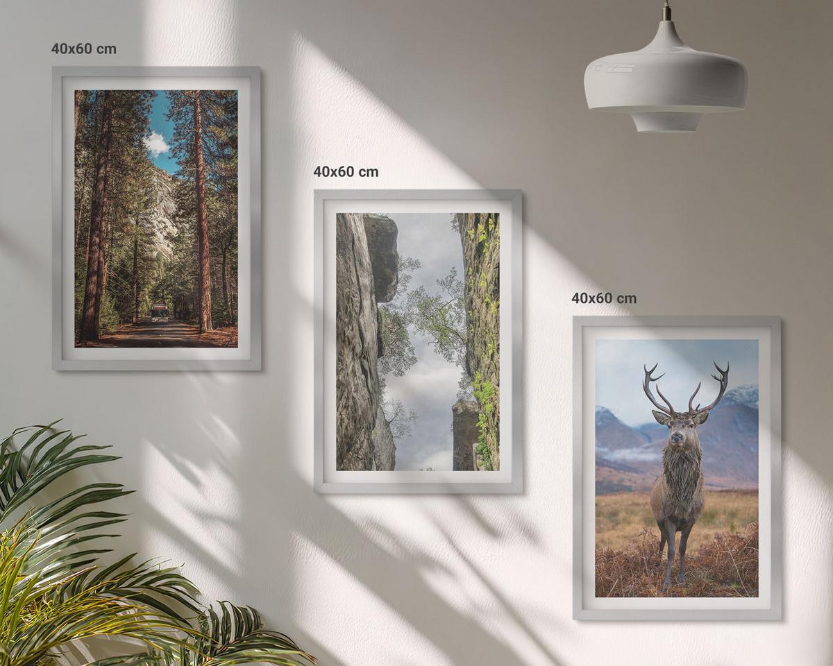 BILDER SET 3er Set - 40x60 cm Silberner Rahmen - Straße Wald Berge Hirsch Natur - Silberfarben, Kunststoff (40/60cm) - TULUP