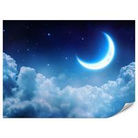FOTOTAPETE für Schlafzimmer Himmel Wolken Mond Sterne 250x175 - Blau/Dunkelblau, Papier (250/175cm) - Muralo