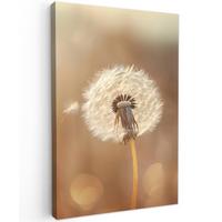 LEINWANDBILD Löwenzahn - Beige - Natur - Blume Deko Groß 90x140 cm - Hellbraun, Textil (90/140cm) - MuchoWow
