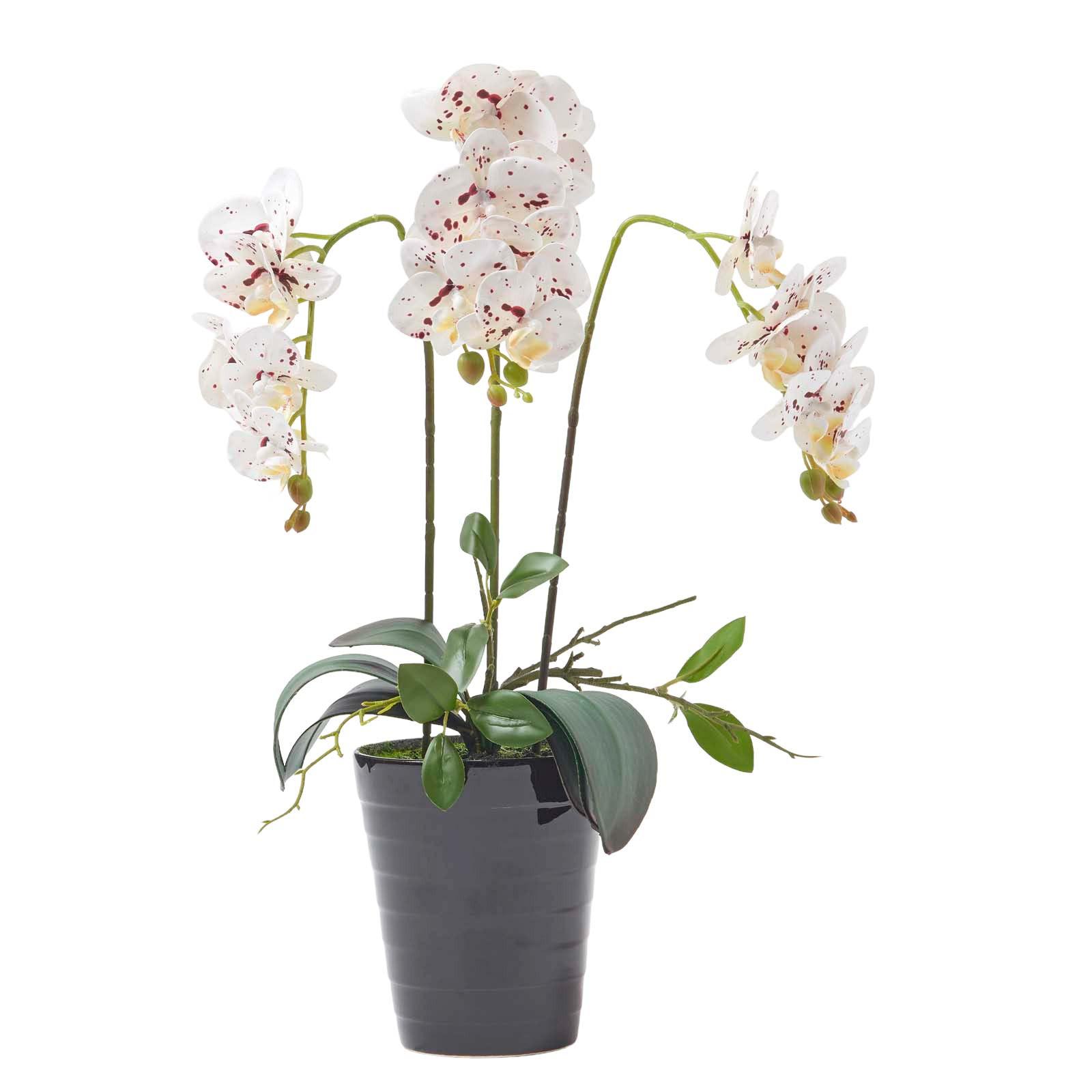 KUNSTBLUME Orchidee weiß-pink im Deko-Topf, 56 cm - Weiß, Kunststoff (56cm) - Homescapes