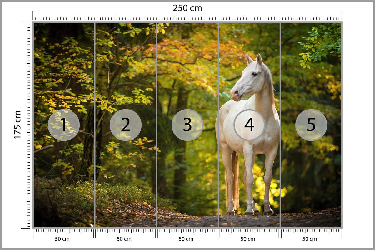 FOTOTAPETE für Schlafzimmer Weißes Pferd Wald Bäume Blätter 250x175 - Gelb/Beige, Papier (250/175cm) - Muralo