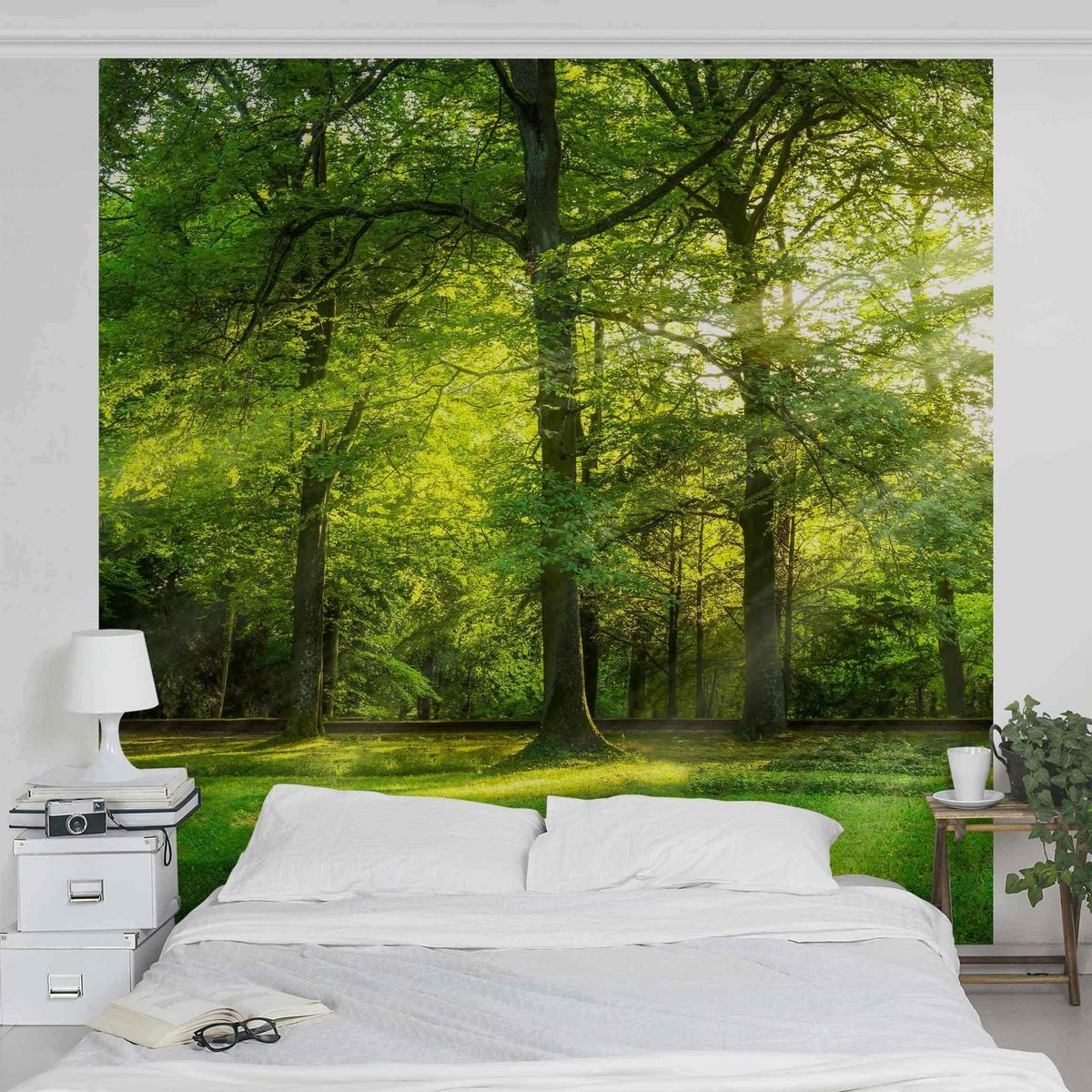 FOTOTAPETE Spaziergang im Wald 192/192 cm - Grün, Papier (192/192cm) - Bilderwelten
