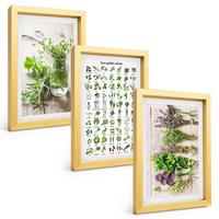 BILDER SET 3er Set - 20x30 cm Goldrahmen - Getrocknete Kräuter für die Küche - Goldfarben, Kunststoff (20/30cm) - TULUP