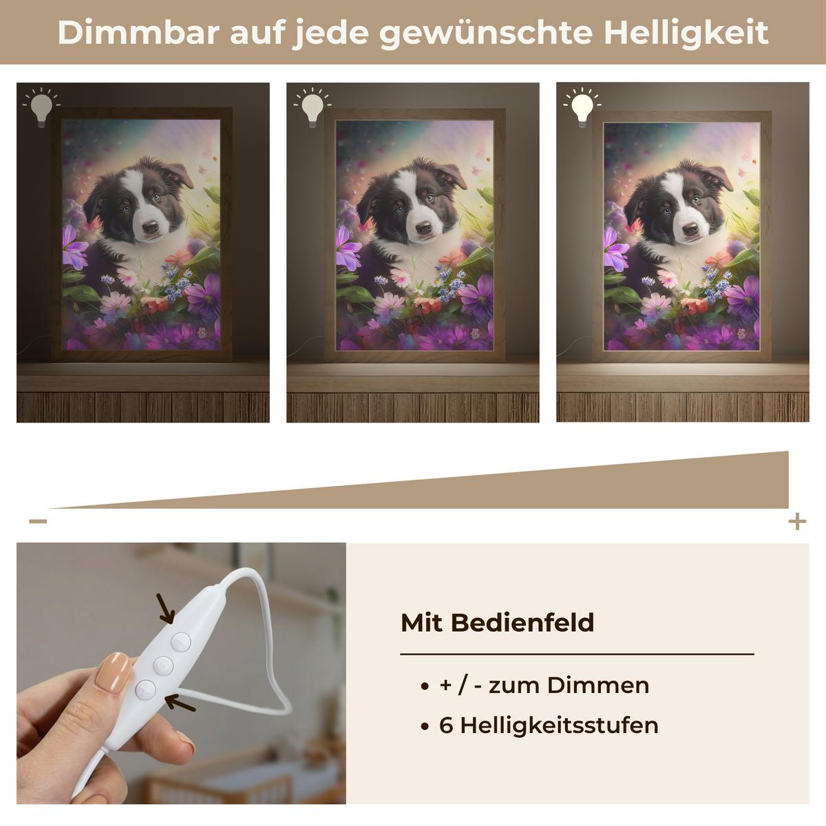NACHTTISCHLAMPE Welpe - Sonne - Blumen - Natur - Border Collie - Hund 20x30 cm - Violett, Holzwerkstoff (8/20/30cm) - OnlyWow