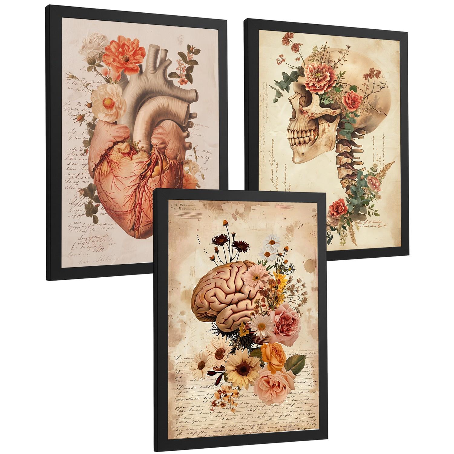 POSTER Set aus 3 Anatomie Mensch Drucke und Wandbilder mit Herz Gehirn und Schädel Vintage Floraler Stil Wanddekoration Größe Schwarzer Rahmen A4 - Schwarz, Papier (21/29.7/3cm) - Nacnic