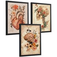 POSTER Set aus 3 Anatomie Mensch Drucke und Wandbilder mit Herz Gehirn und Schädel Vintage Floraler Stil Wanddekoration Größe Schwarzer Rahmen A4 - Schwarz, Papier (21/29.7/3cm) - Nacnic
