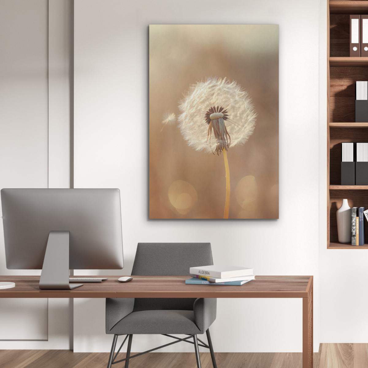 AKUSTIKBILD Löwenzahn - Beige - Natur - Blume Wanddeko 70x100 cm - Hellbraun, Kunststoff (70/100/0.9cm) - MuchoWow
