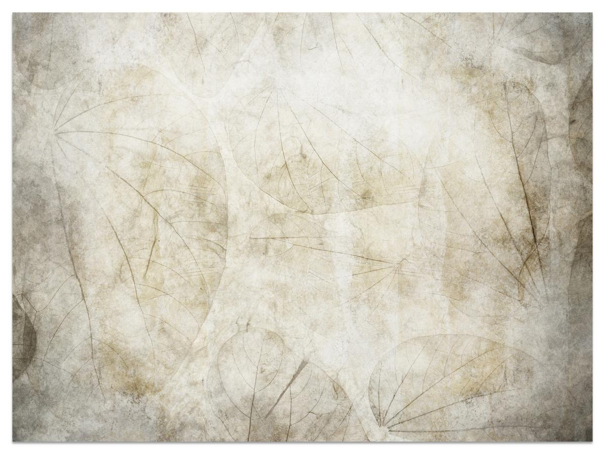 FOTOTAPETE für Wohnzimmer Blätter Beton Abstraktion 300x210 - Beige/Grau, Papier (300/210cm) - Muralo
