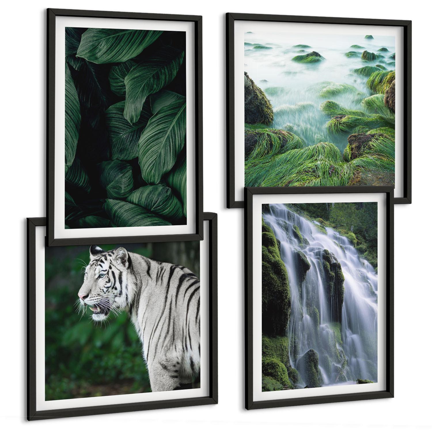 BILDER SET 4er Set - 50x50 cm & 40x60 cm Schwarzer Rahmen - Blätter des Weißen Tigerwasserfalls - Schwarz, Kunststoff (50/50cm) - TULUP