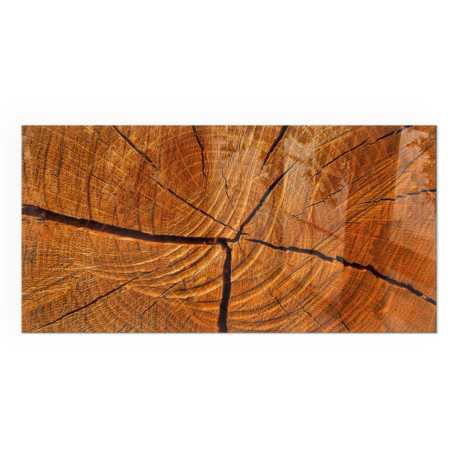 GLASPLATTE für Kamin 100x50 cm - Orange, Glas (100/50/0.4cm) - TULUP