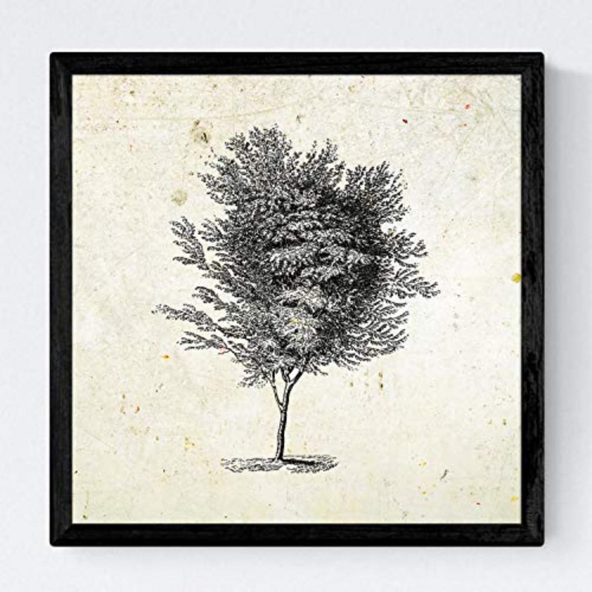 POSTER Set mit 4 Blättern der Grove Jahrgang Hintergrund 20x20cm Schwarzer Rahmen - Schwarz, Papier (20/3cm) - Nacnic
