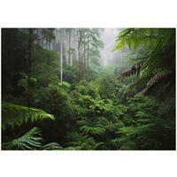 FOTOTAPETE Wald Dschungel Vliestapete Tapete 200x140 - Multicolor, Papier (200/140cm) - Wallarena