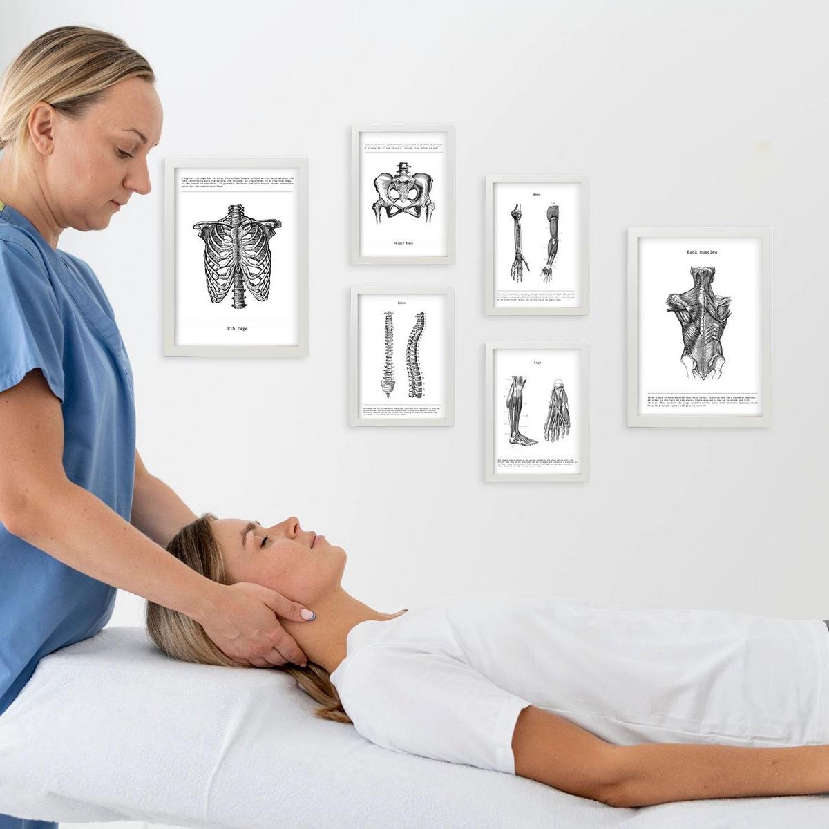 POSTER Set Mit 6 Anatomie Sammlung Von Platten Größe A3 und A4 Rahmenlos - Klar, Papier (29.7/1cm) - Nacnic