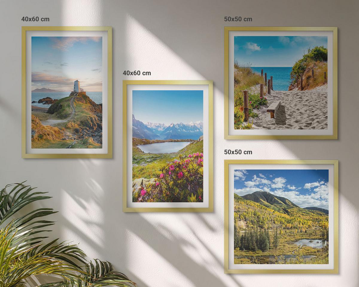 BILDER SET 4er Set - 50x50 cm & 40x60 cm Goldrahmen - Strand, Leuchtturm, Berge, Wiesen, Blumen - Goldfarben, Kunststoff (50/50cm) - TULUP