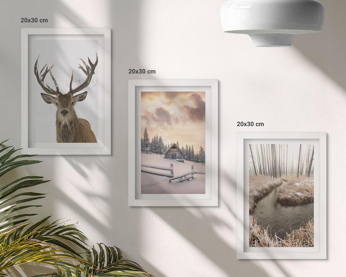 BILDER SET 3er Set - 20x30 cm Weißer Rahmen - Hirschhütte in Winterlandschaft - Weiß, Kunststoff (20/30cm) - TULUP