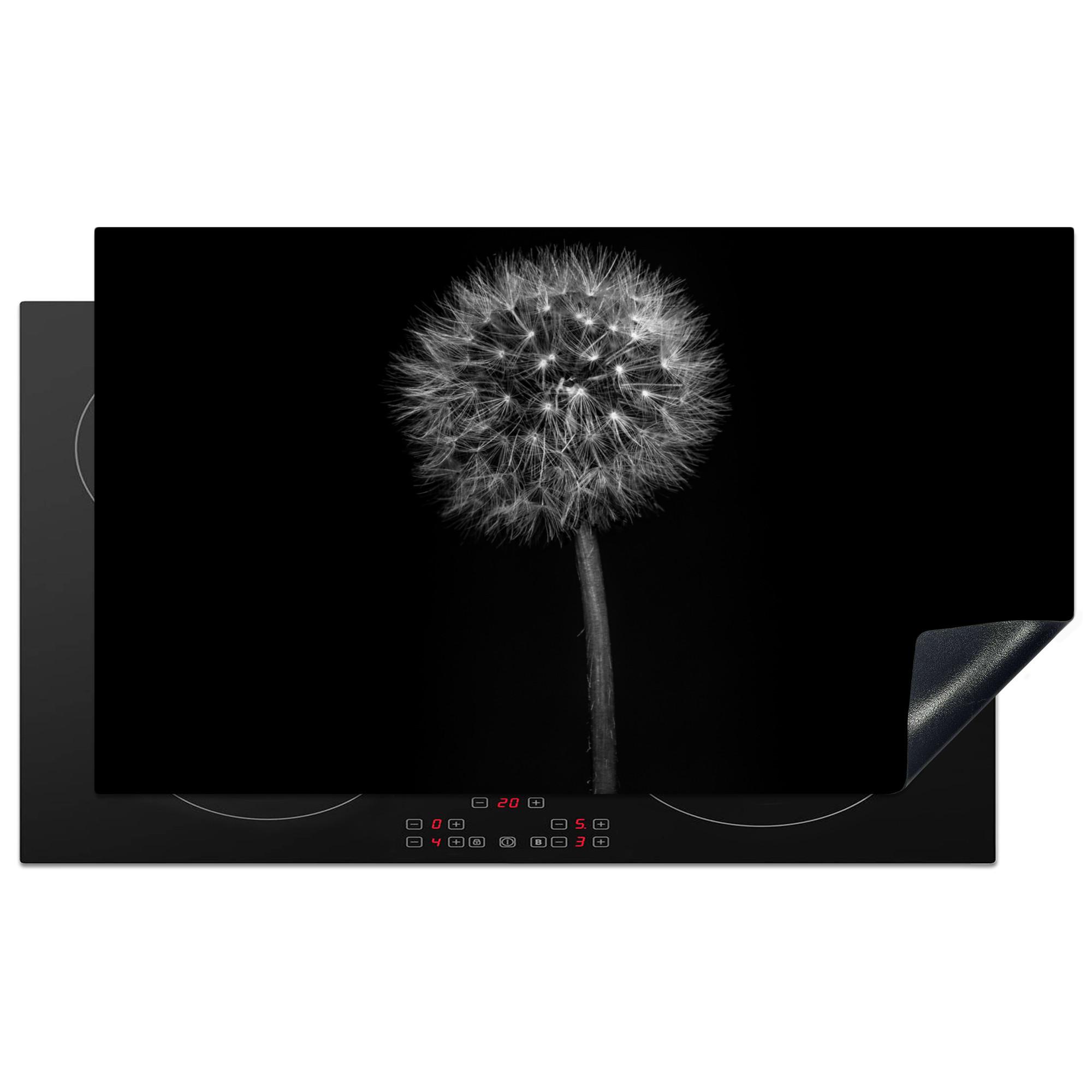 HERDABDECKPLATTE Löwenzahn - Schwarz - Floral - Botanisch Induktionsschutz 91.6x52.7 cm - Grau, Kunststoff (91.6/52.7/0.2cm) - MuchoWow