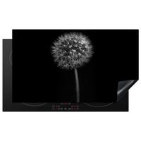 HERDABDECKPLATTE Löwenzahn - Schwarz - Floral - Botanisch Induktionsschutz 91.6x52.7 cm - Grau, Kunststoff (91.6/52.7/0.2cm) - MuchoWow