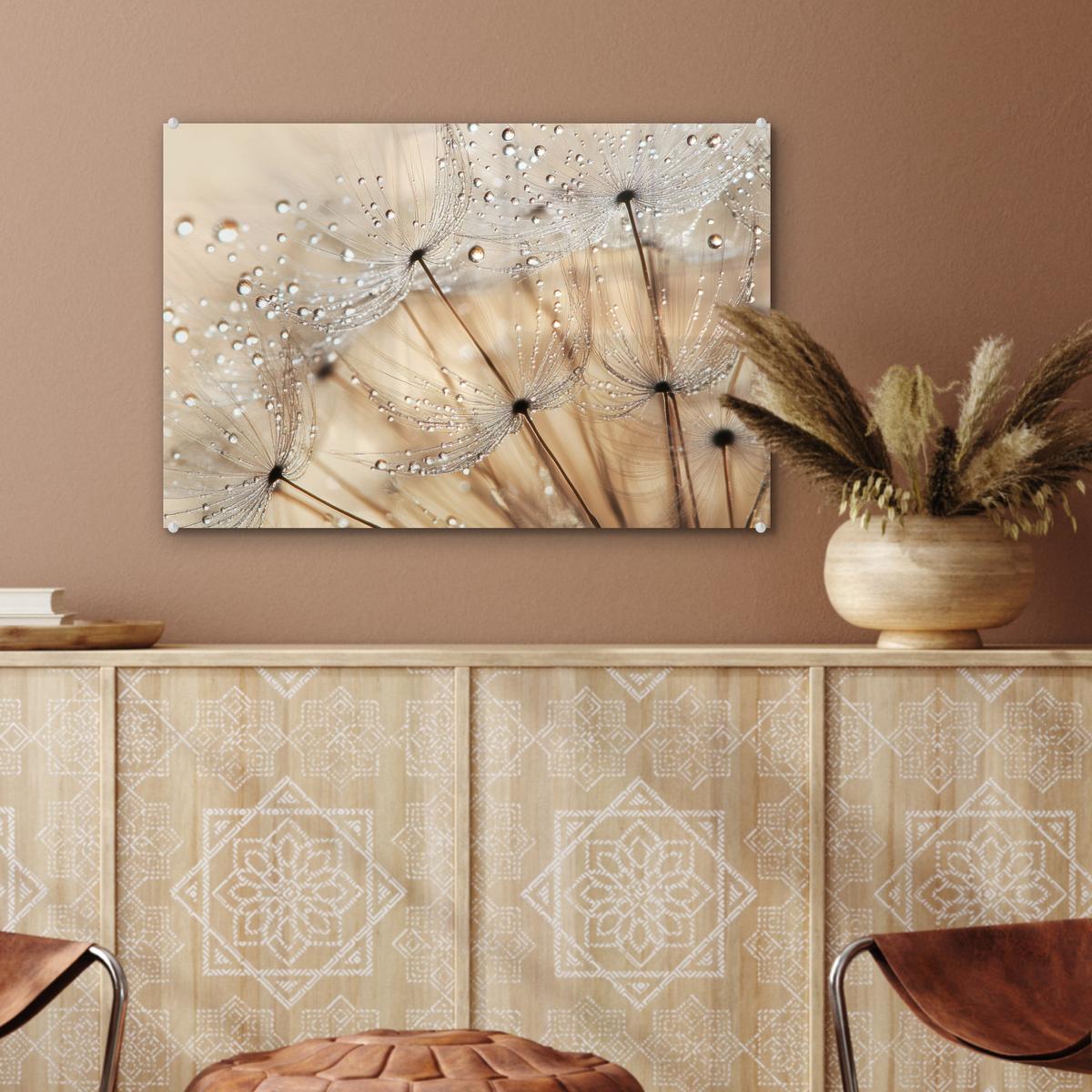 ACRYLGLASBILD Löwenzahn - Abstrakt - Natur - Beige Wanddeko 60x40 cm - Braun, Glas (60/40cm) - MuchoWow