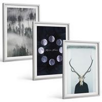 BILDER SET 3er Set - 40x60 cm Silberner Rahmen - Waldlandschaft, Nebel, Mond, Hirschschädel - Silberfarben, Kunststoff (40/60cm) - TULUP