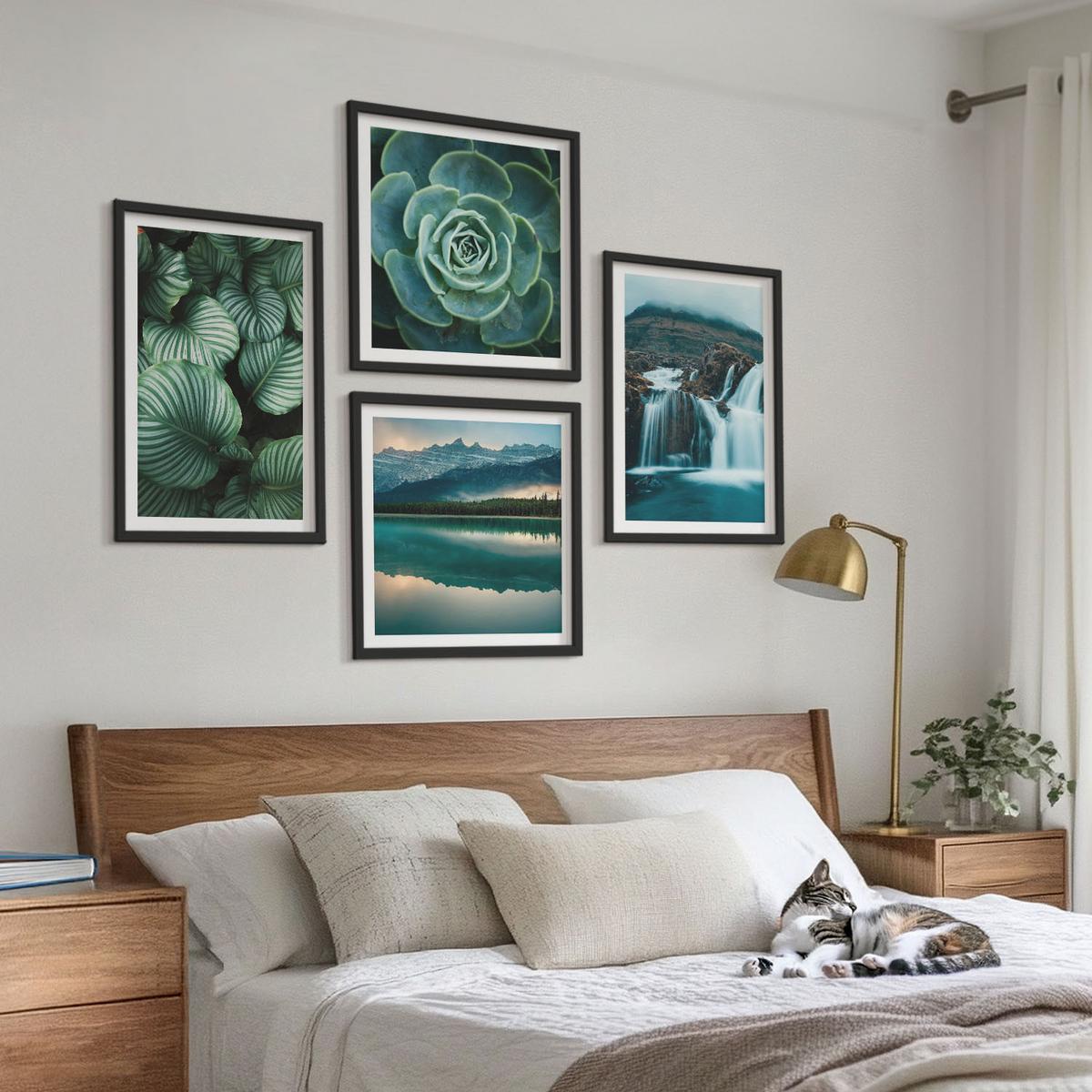 BILDER SET 4er Set - 50x50 cm & 40x60 cm Schwarzer Rahmen - Nahaufnahmen von Blättern sukkulenter Pflanzen - Schwarz, Kunststoff (50/50cm) - TULUP