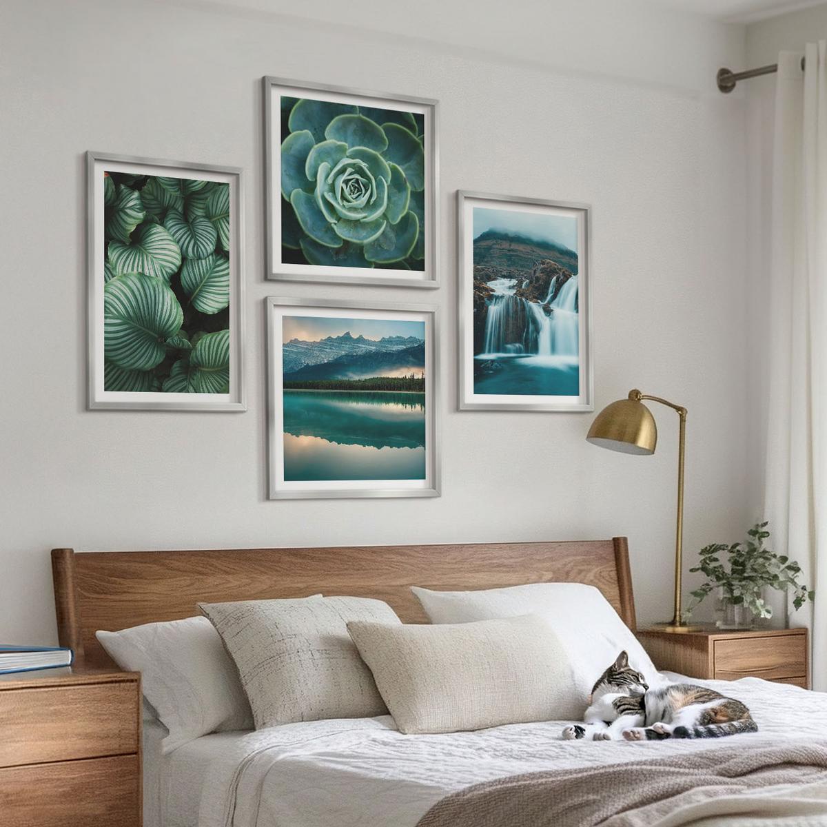 BILDER SET 4er Set - 50x50 cm & 40x60 cm Silberner Rahmen - Nahaufnahmen von Blättern sukkulenter Pflanzen - Silberfarben, Kunststoff (50/50cm) - TULUP